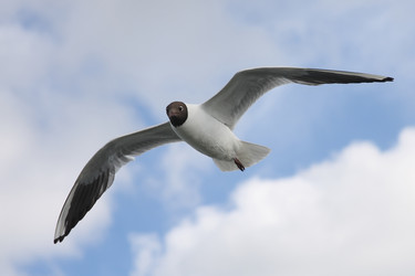 Similar image 235162