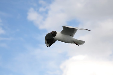 Similar image 235163