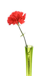 Similar image 235288