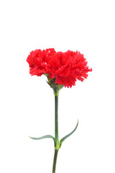 Similar image 235289