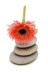 Similar image 235296