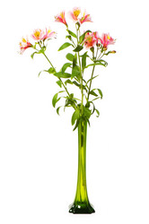 Similar image 235300