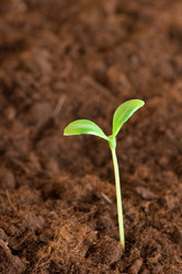 Similar image 235328