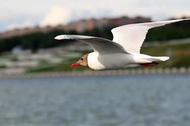 Similar image 235335