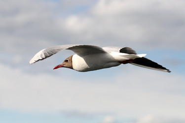 Similar image 235337