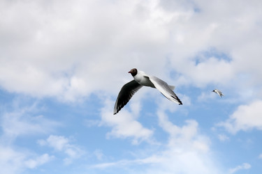 Similar image 235340