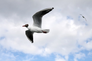 Similar image 235341