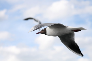 Similar image 235343