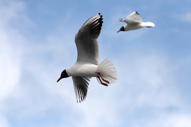 Similar image 235345