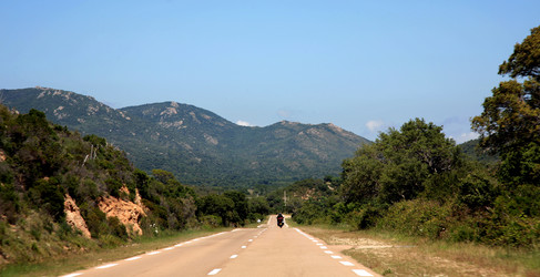 Similar image 235372