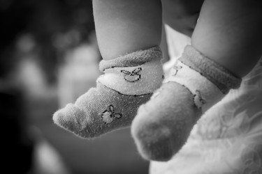 Similar image 235383