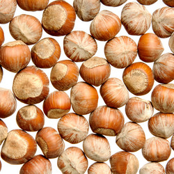 Similar image 235398