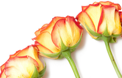 Similar image 235414