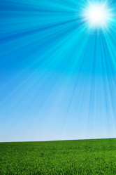 Similar image 235415