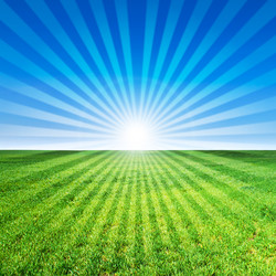 Similar image 235416