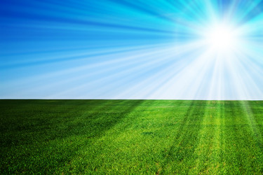 Similar image 235419