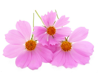 Similar image 235437