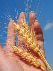 Similar image 235446