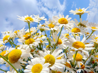 Similar image 235447