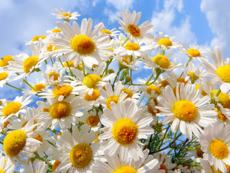 Similar image 235448