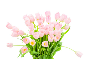 Similar image 235449