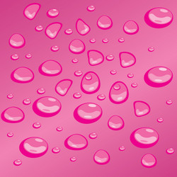 Similar image 235482