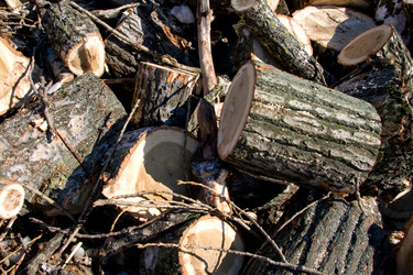 Similar image 235485