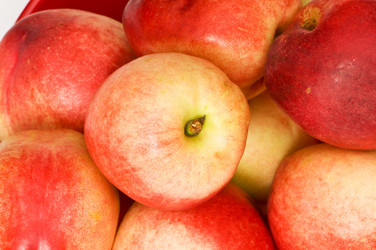 Similar image 235548