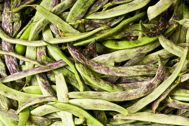 Similar image 235558