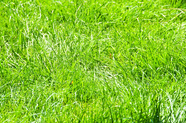 Similar image 235671