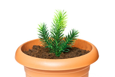 Similar image 235688