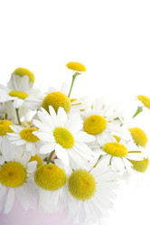 Similar image 235692