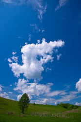 Similar image 235695