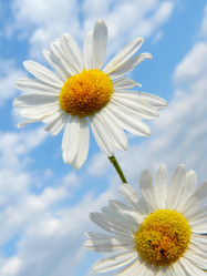 Similar image 235696