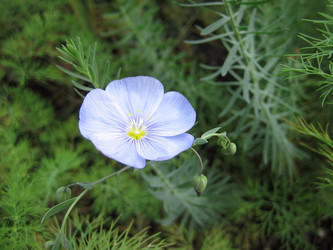 Similar image 235700