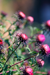 Similar image 235705