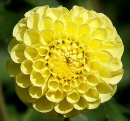 Similar image 235710