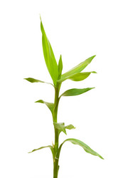 Similar image 235711