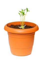 Similar image 235715