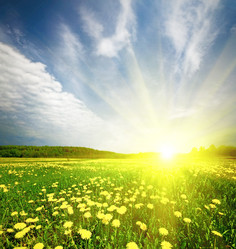 Similar image 235718