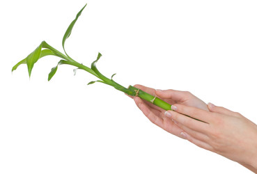 Similar image 235757