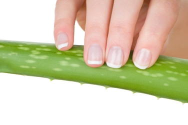 Similar image 235759