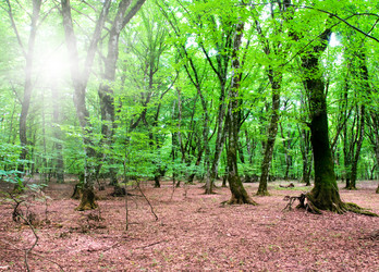 Similar image 235799