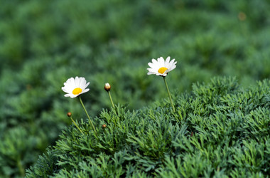 Similar image 235811