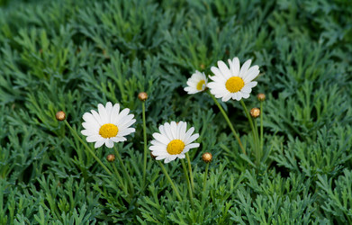 Similar image 235812