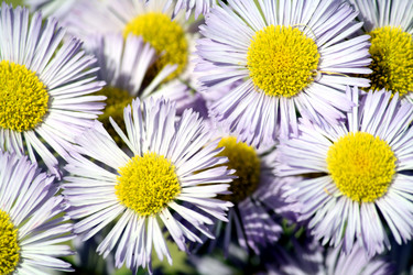 Similar image 235813