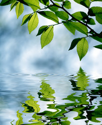 Similar image 235890