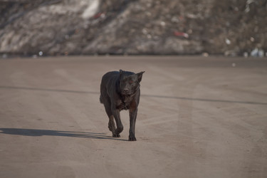 Similar image 235909