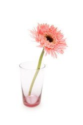 Similar image 235957