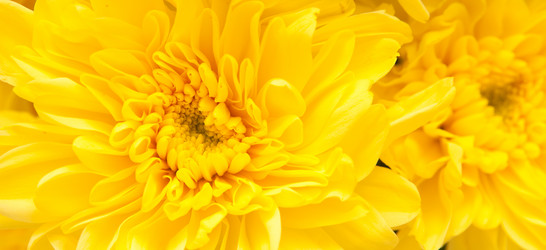 Similar image 235976